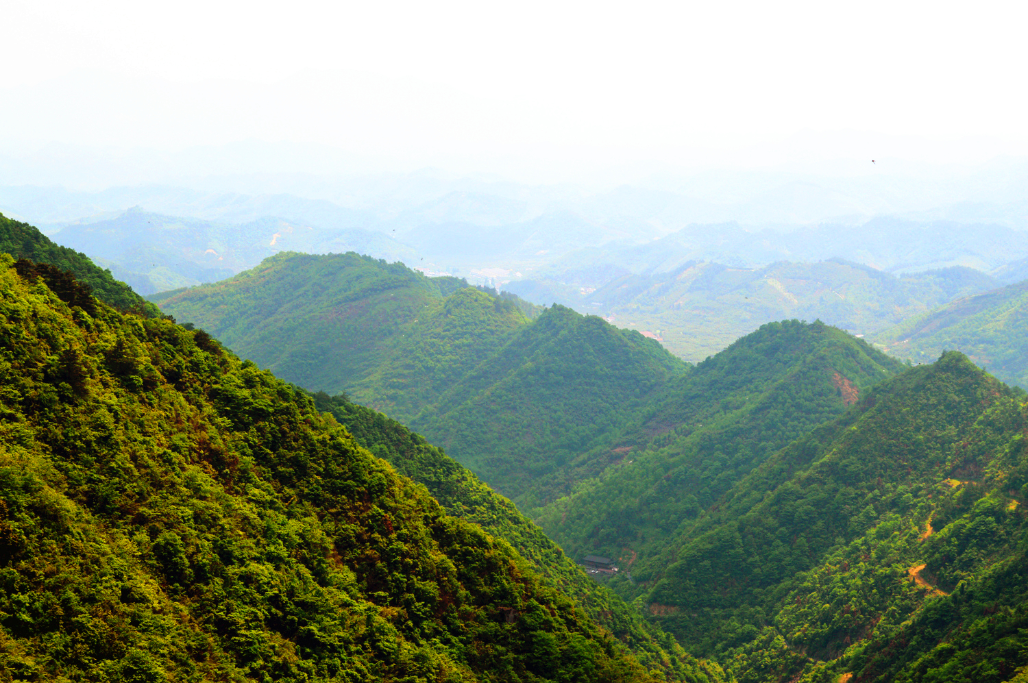 天目山旅游景点