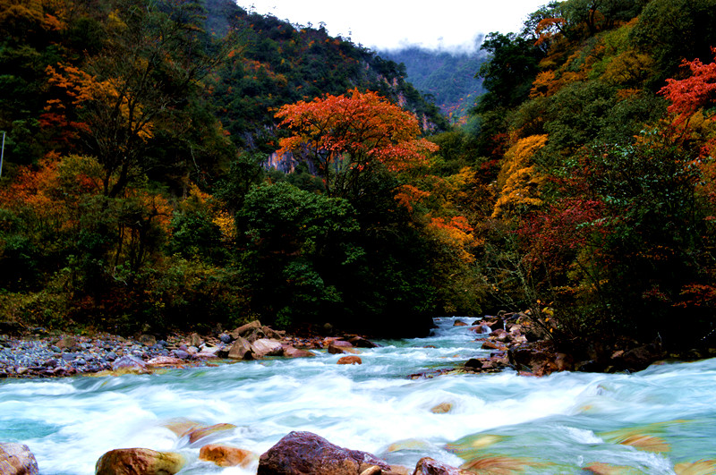 雅安景点