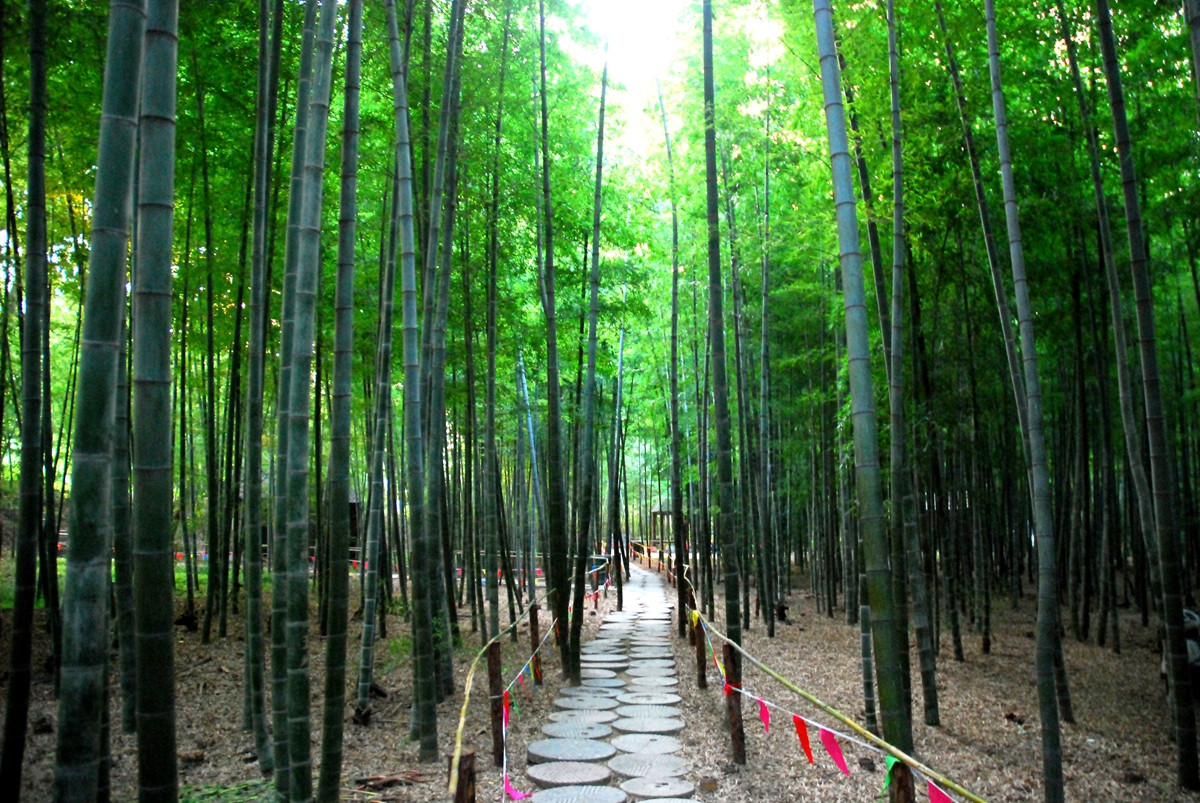 日照竹洞天风景区