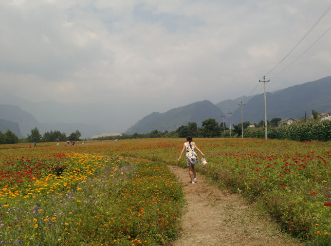 通济镇周边好玩的地方很多像丹景山、回龙沟、白鹿镇,早年还有银厂沟,可惜地震中毁了,另外在白水河的对面不远就是小鱼洞,那里农家乐很多,可以吃当地特色冷水鱼,丹景山每年四月以牡丹花著名,但在这个季节我重点向大家推荐下附近的回龙沟,不仅因沟内山青水秀、空气清新、气候宜人,树艿遮天,凉气袭人,最高气温仅24.