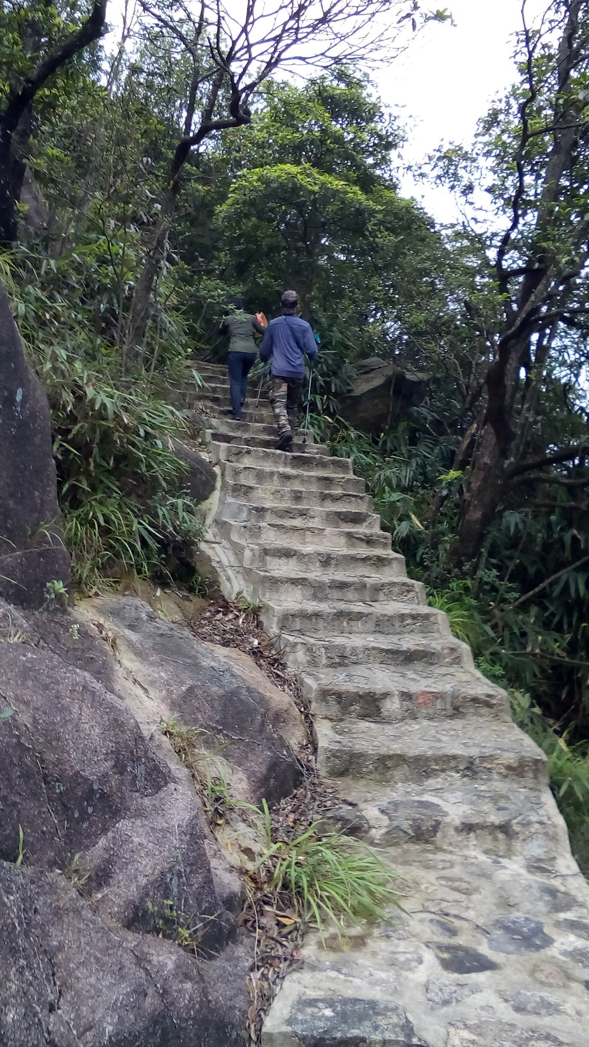 从化五指山景区        