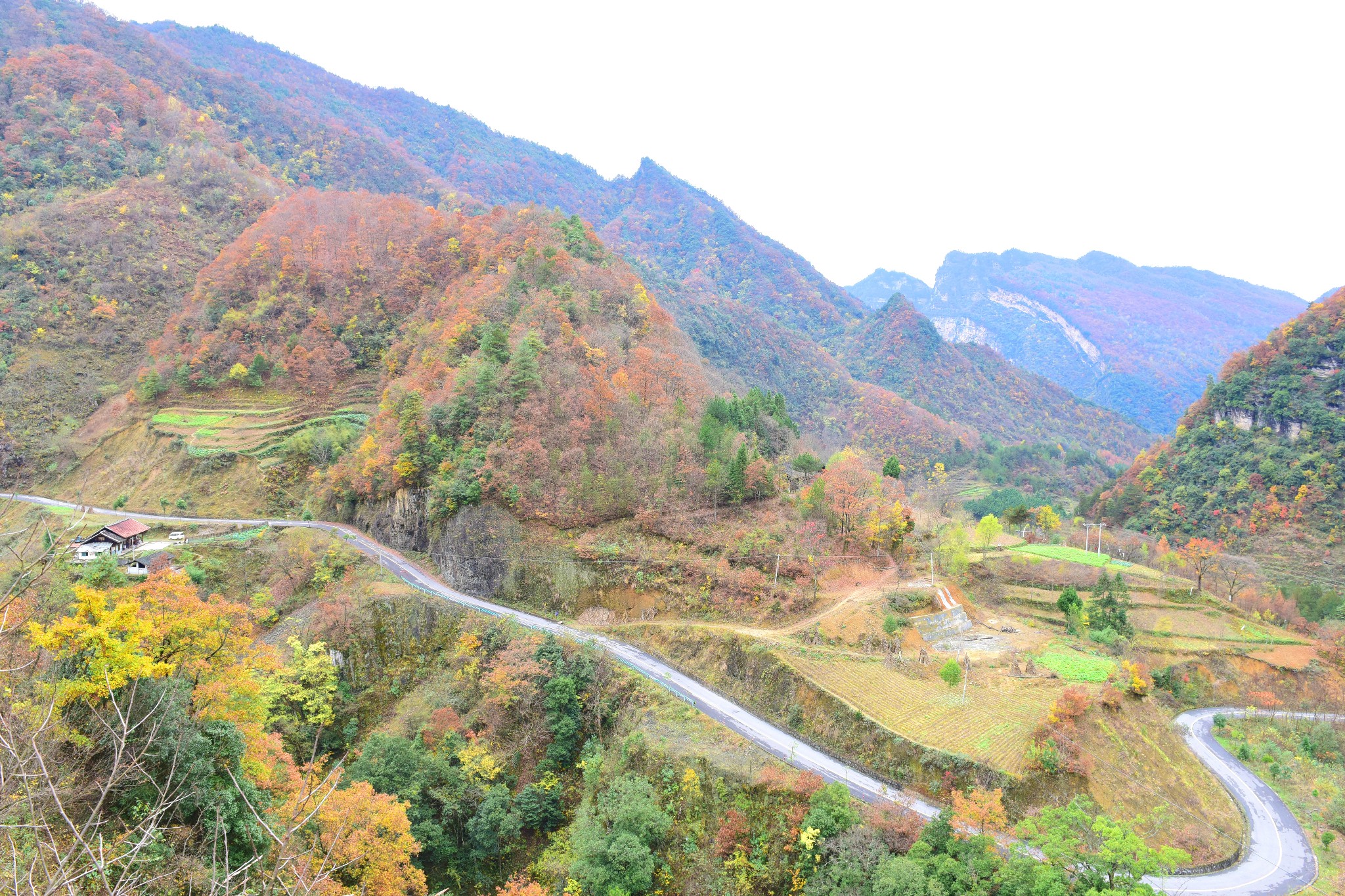 秋醉旺苍鼓城山