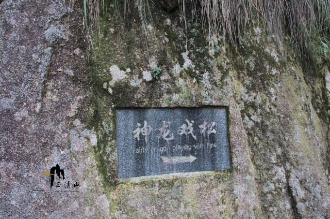 当然建议还是要乘坐索道,体力好的或者时间比较充足的当然可以自己爬啦,不然两天的话时间确实不太够 我们这里包的团很幸运,是一个小团,连着我们三个在内一共只有9个人,超级爽,而且那会刚放好暑假,基本上整个景区就是没有人的,在爬栈道的时候基本就我们9个人,全程没有碰到其他人,像包场了一样,超级爽,照片想怎么拍就怎么拍,去山里的话有导游唯一一点好处就是不会走冤枉路,自己走的话有可能不是最佳道路啦,有可能会走点冤枉路的,不过有时候会看到一般大众看不到的景色哦 三清山的高空栈道据说用了6个月的时间就造好了,这个真的是