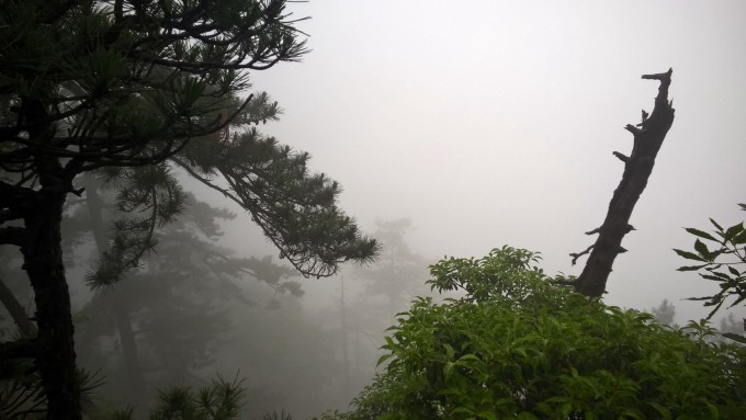 好長一段時間沒有帶著你去旅行了,心里總像有個洪水猛獸被困住一樣時不時的都會跑出來鬧騰一番,實在是心累,最后你實在凹不過我了答應我去個近點的地方,從朋友那聽說天堂寨不錯,于是毫不遲疑地定下了天堂寨這個地方。因為學生黨,剛畢業沒有工作,從生活費拿了大部分當這次經費。好了,不說些有的沒的了,要出發了,天堂寨,我們來了