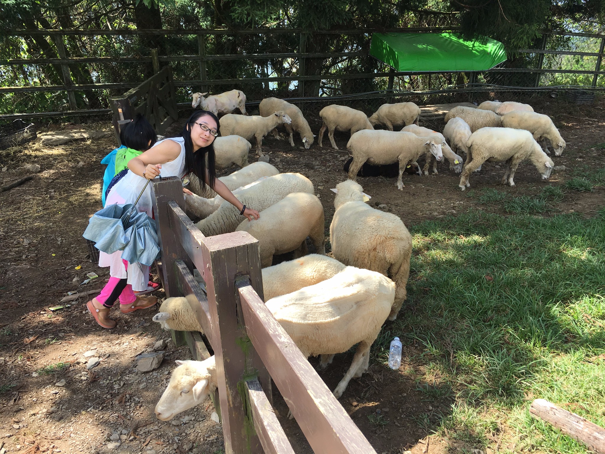11天台湾环岛趣味之旅