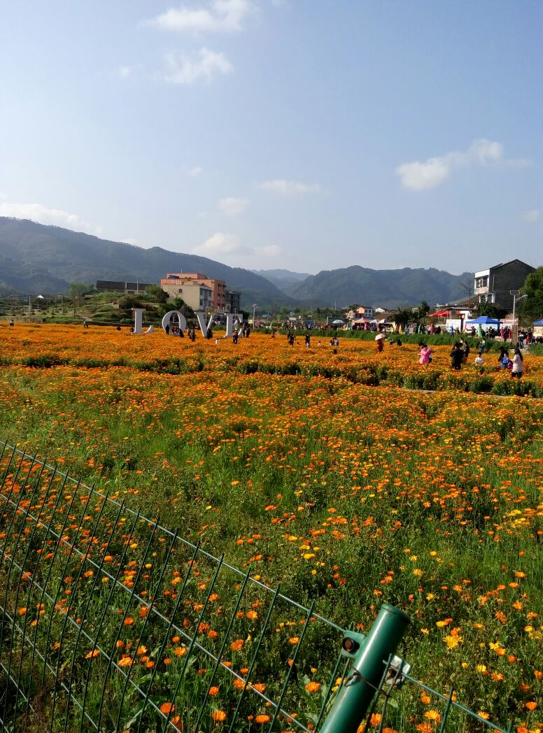 垫江景点介绍,垫江旅游景点,垫江景点推荐 - 马蜂窝