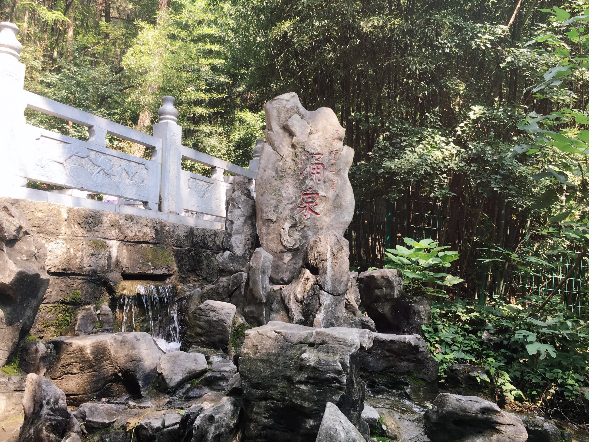 我眼中的【济南七十二名泉】----涌泉