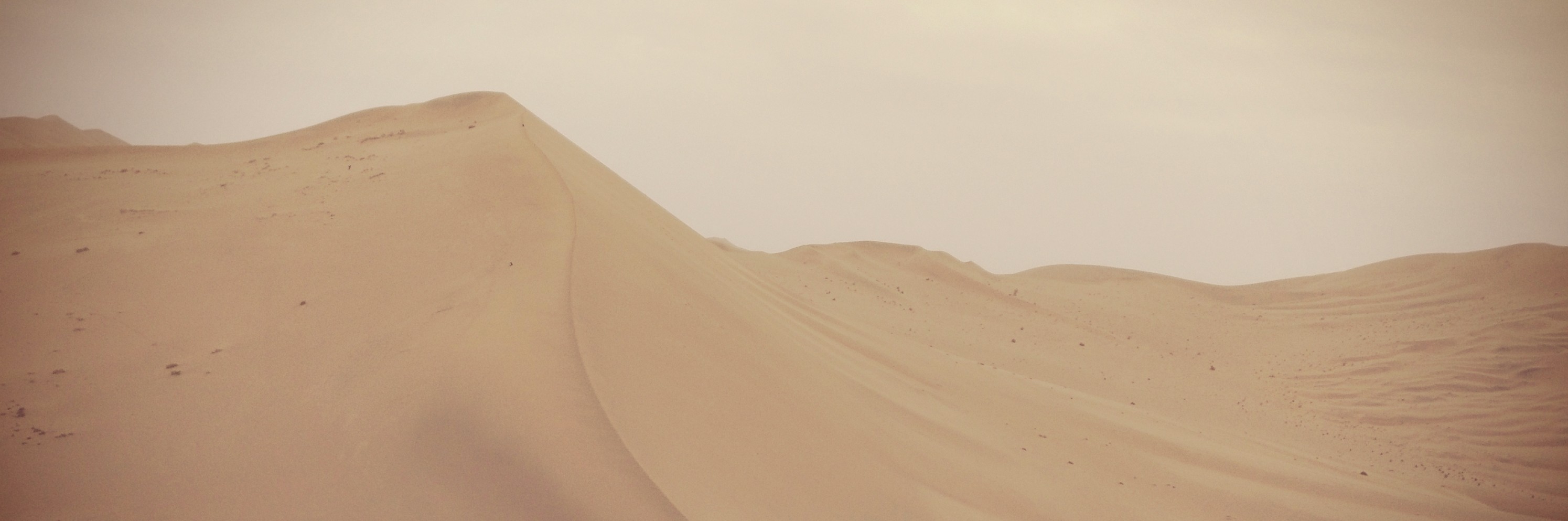 炎风吹沙的城,自由穿行的梦(上)